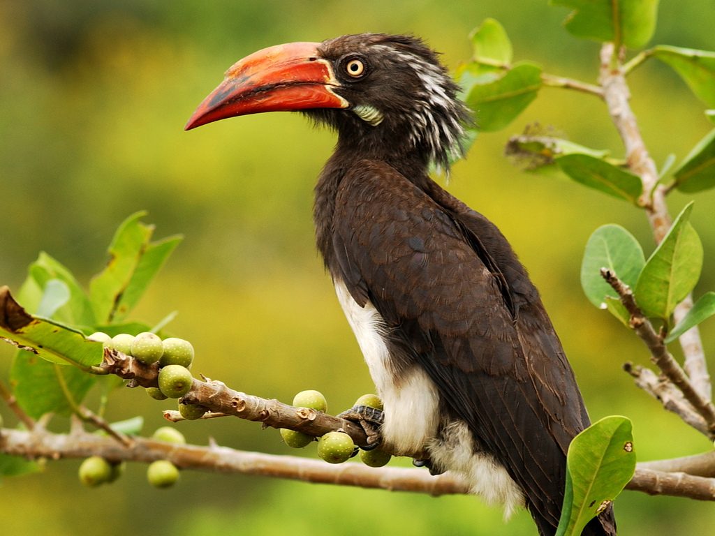 Lake Mburo National Park